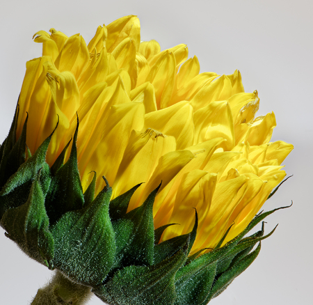 Anice Hoachlander Fine Art Photography